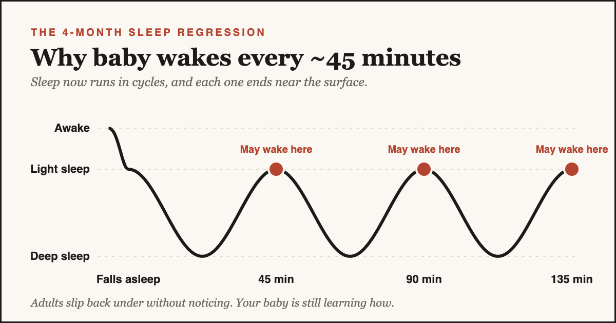 Diagram of the 4-month sleep regression showing a baby’s sleep cycle of about 45 minutes, with light-sleep moments where baby may wake
